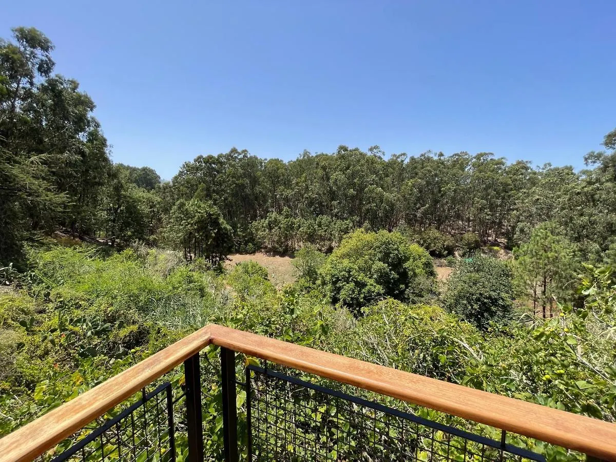 Duplex De Invitados En Medio Del Bosque Firgas Holiday home
