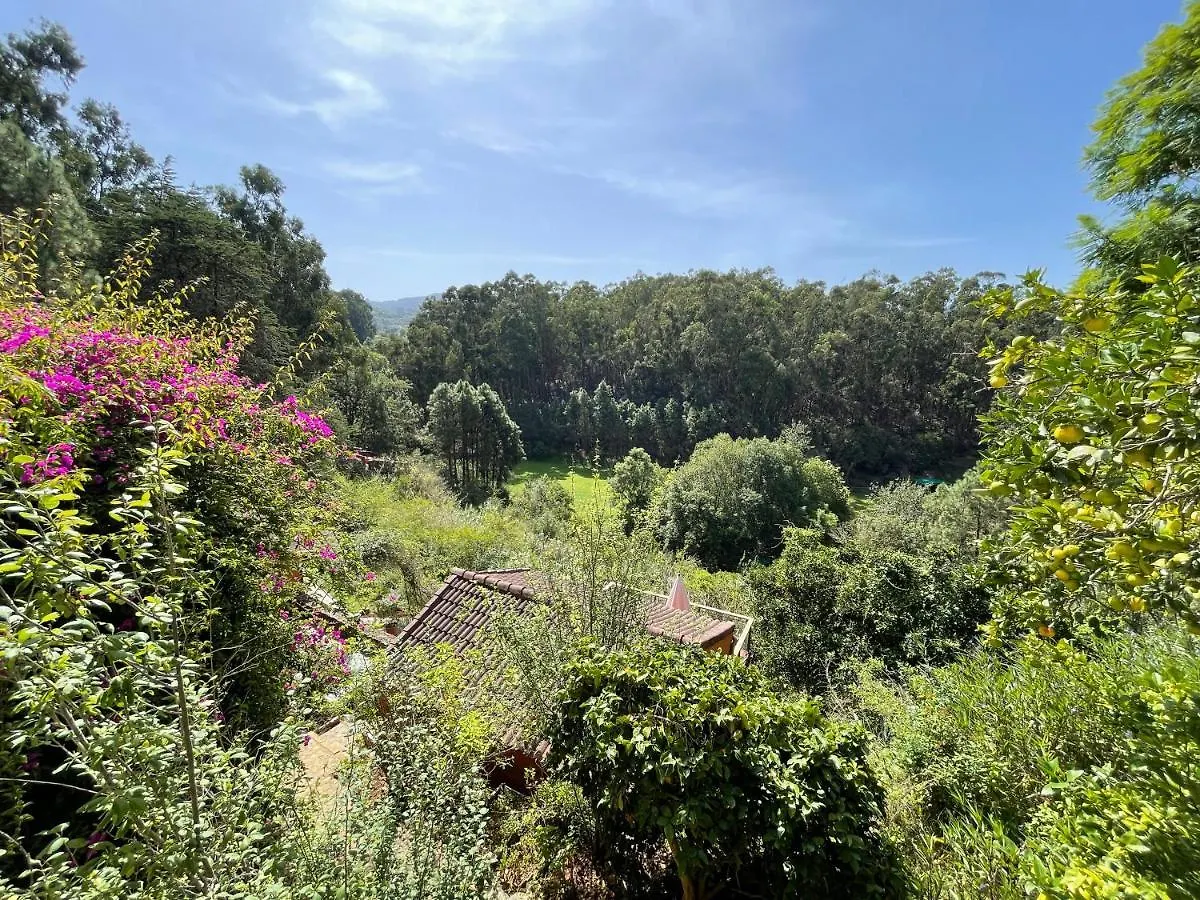 Holiday home Duplex De Invitados En Medio Del Bosque Firgas Spain