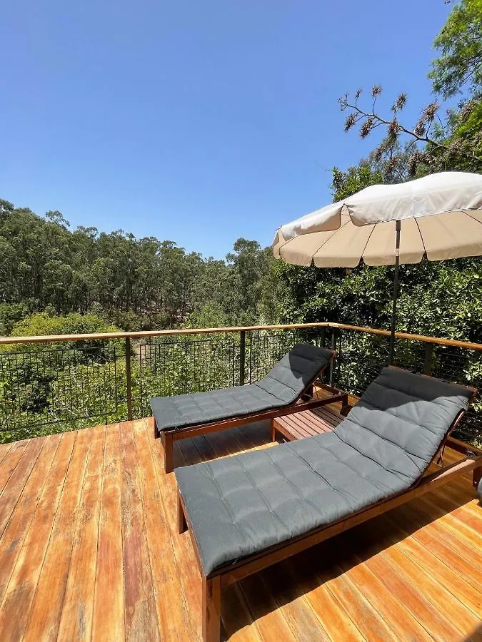Duplex De Invitados En Medio Del Bosque Firgas Spain