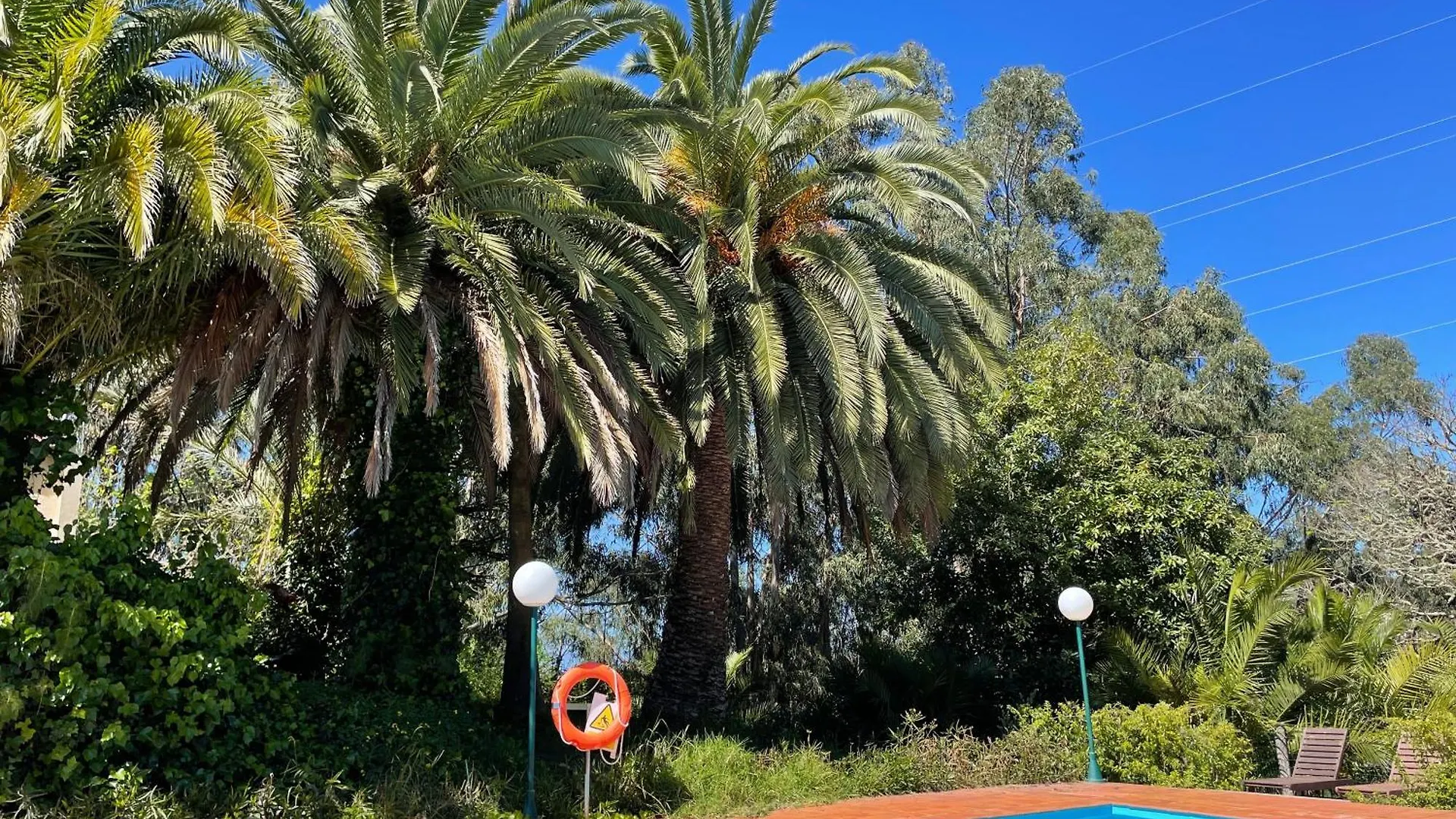 Duplex De Invitados En Medio Del Bosque Firgas Spain