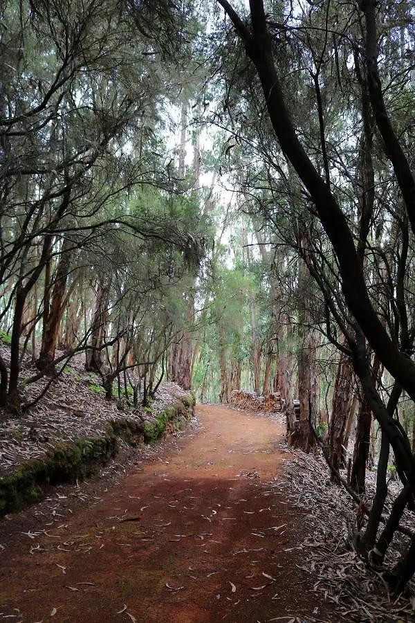 Duplex De Invitados En Medio Del Bosque Firgas Holiday home